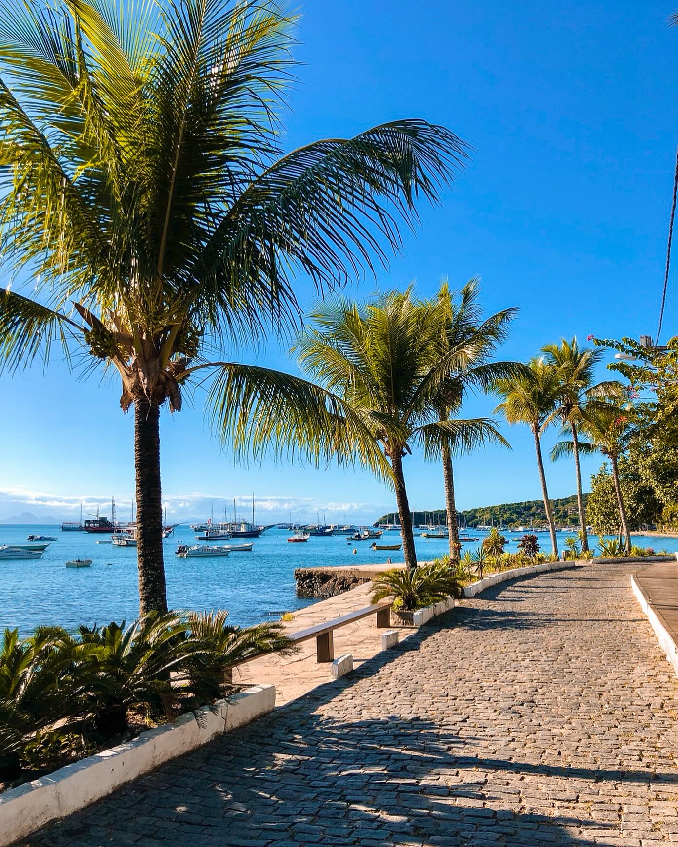 Casal em buggy rosa com vista para o mar em Búzios RJ no mirante