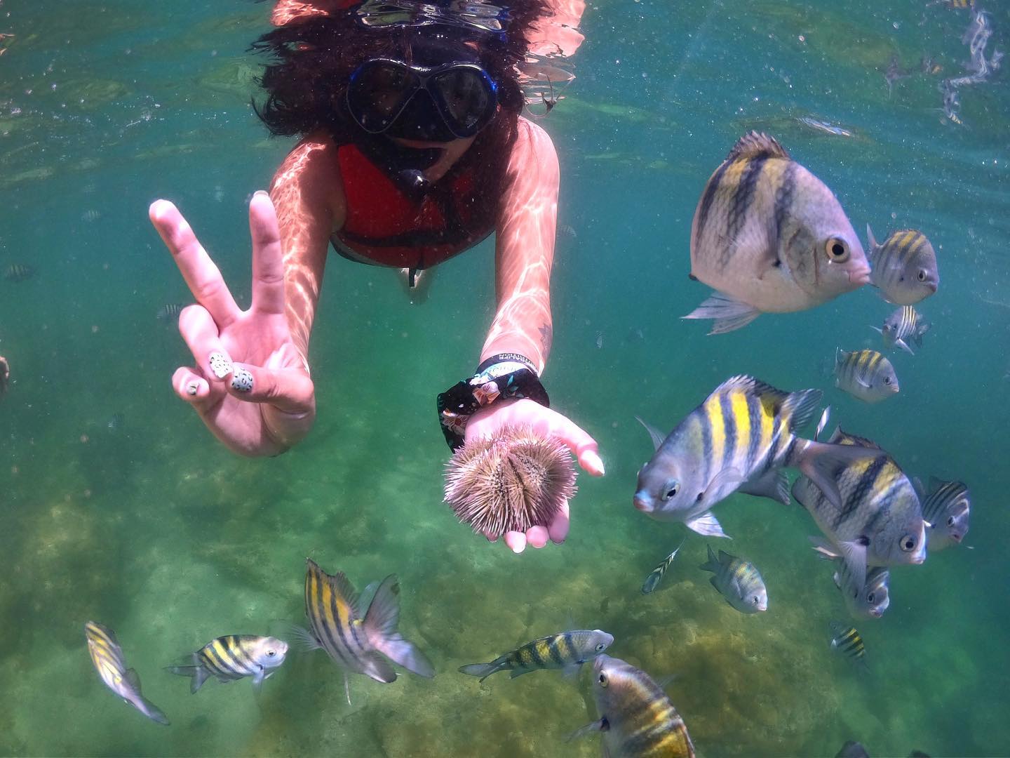 Passageira fazendo mergulho de snorkel nas águas cristalinas de Búzios em parada do passeio de barco