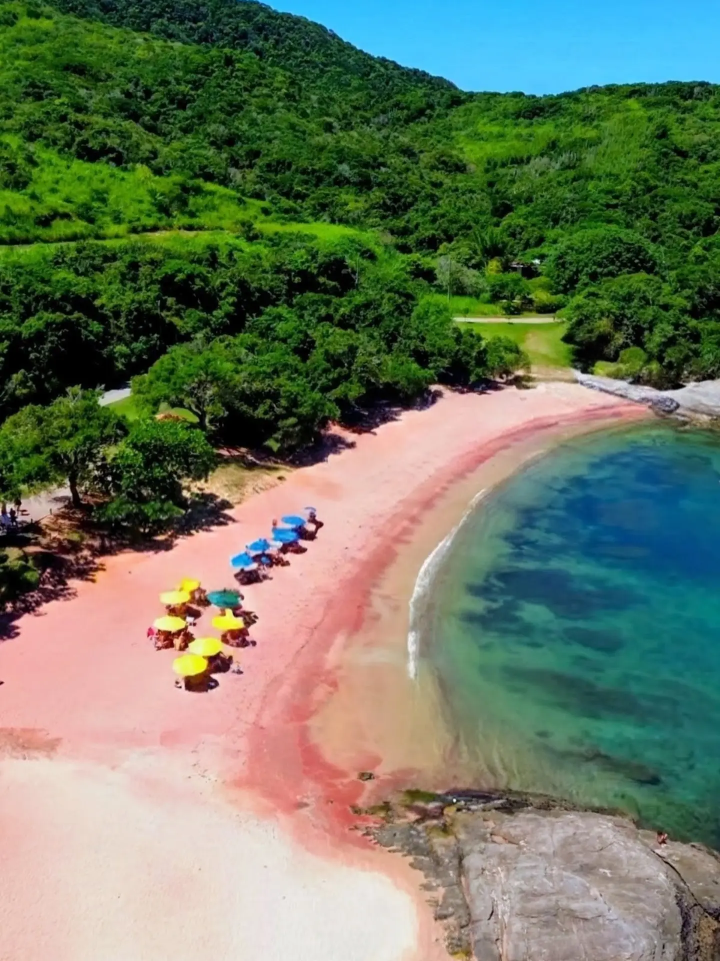Comparison of pink sand beaches around the world including Praia do Forno in Búzios.